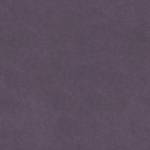 VENUS VELVET 2938