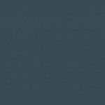 VEGA 79