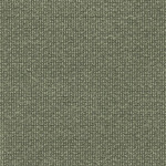 NORDIC OLIVE