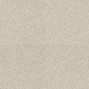 BONDAI BN1005